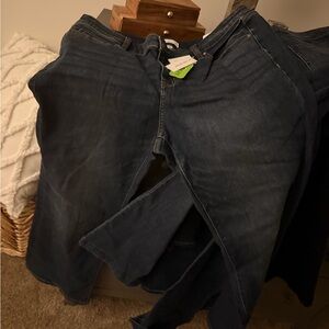 Lane Bryant Dark Blue Flare Jeans